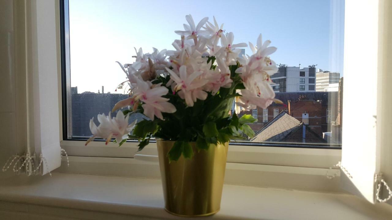 Queens Quarter Holiday Homes (Adults Only) Belfast Eksteriør billede